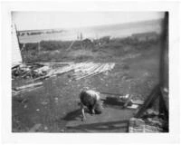 untitled Image